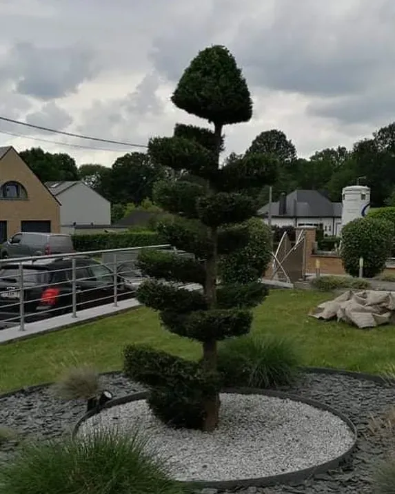 les-jardins-de-noe-real-16