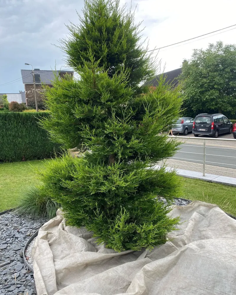 les-jardins-de-noe-real-14